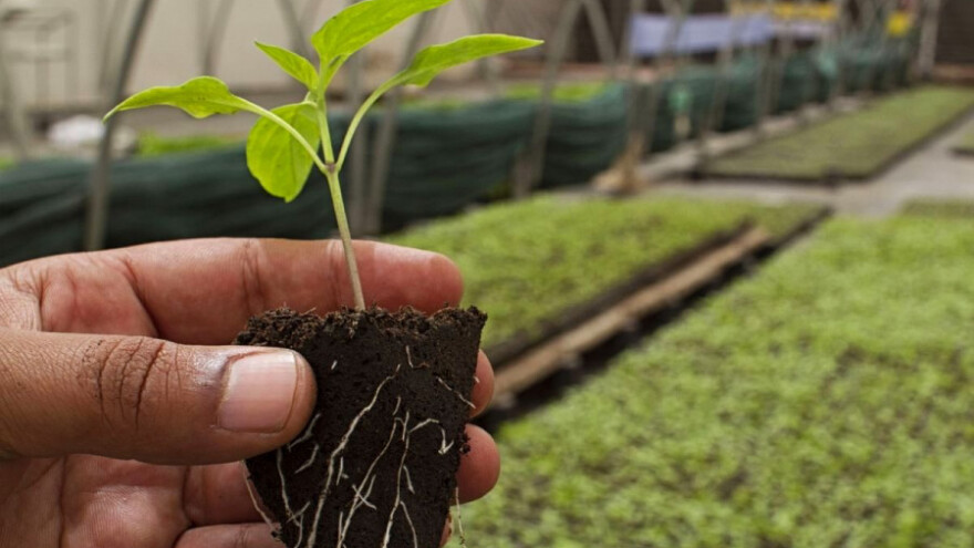 Važnost pojedinog makrohraniva u ishrani bilja