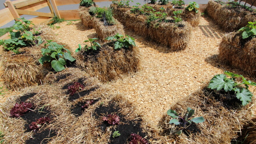 Uzgoj povrća u balama slame - jednostavno i dekorativno