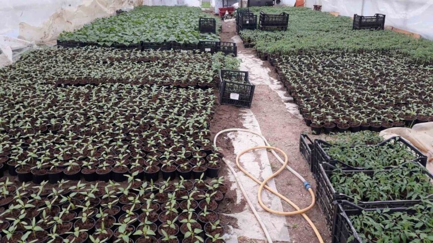 Niske temperature ne odgovaraju povrću - sadnja na otvorenom tek od 10. maja?!