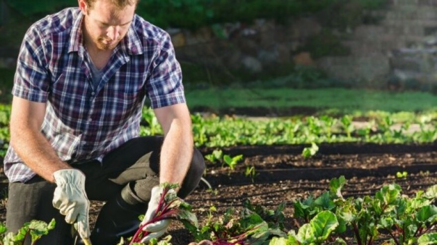 Uzgajivačima cvijeća i povrća konkretna pomoć