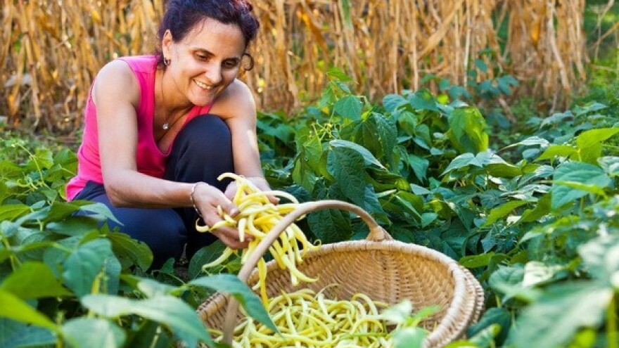 Treći po redu Forum za prehrambeni suverenitet!