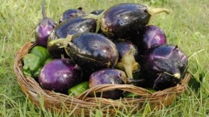 Kako do potpora u integriranoj proizvodnji?