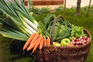 Budućnost poljoprivrede je u širenju integrirane proizvodnje
