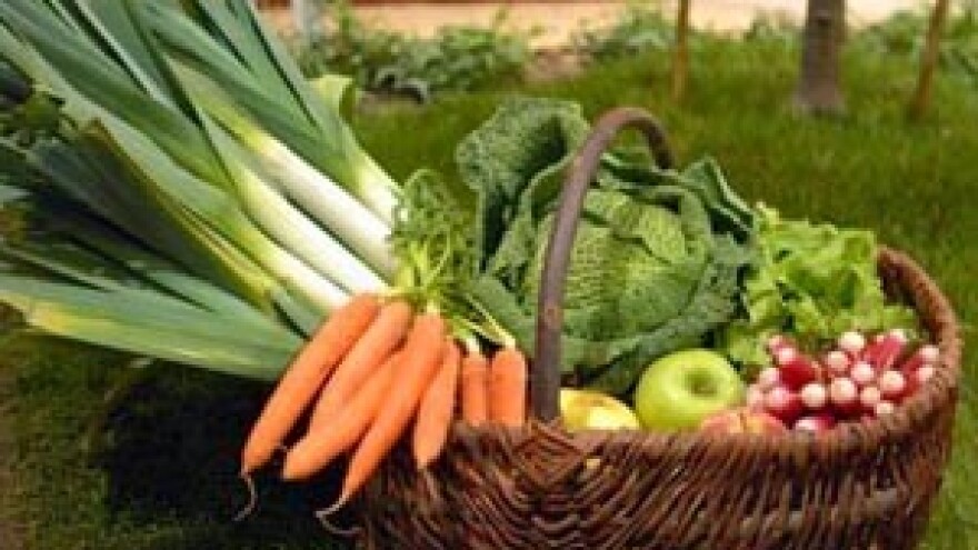 Budućnost poljoprivrede je u širenju integrirane proizvodnje