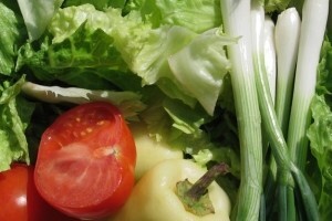 1,3 milijuna kuna za izgradnju plastenika za uzgoj povrća