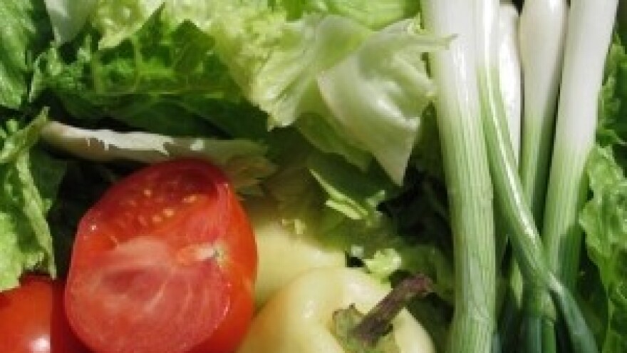 1,3 milijuna kuna za izgradnju plastenika za uzgoj povrća