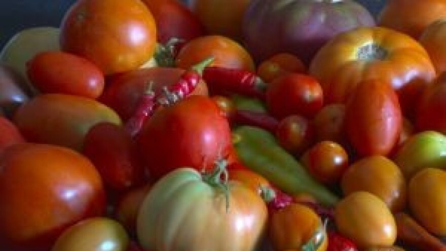 Sastanak HPK i veleposlanika Bošnjaka