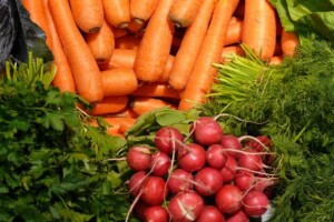 Podravka pokreće vlastitu poljoprivrednu proizvodnju