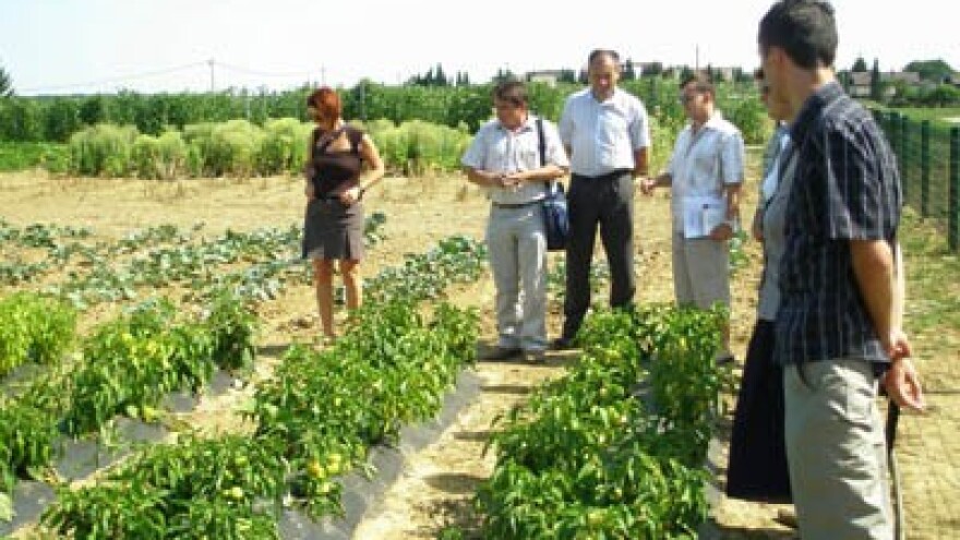 Dan povrća Koprivničko-križevačke županije