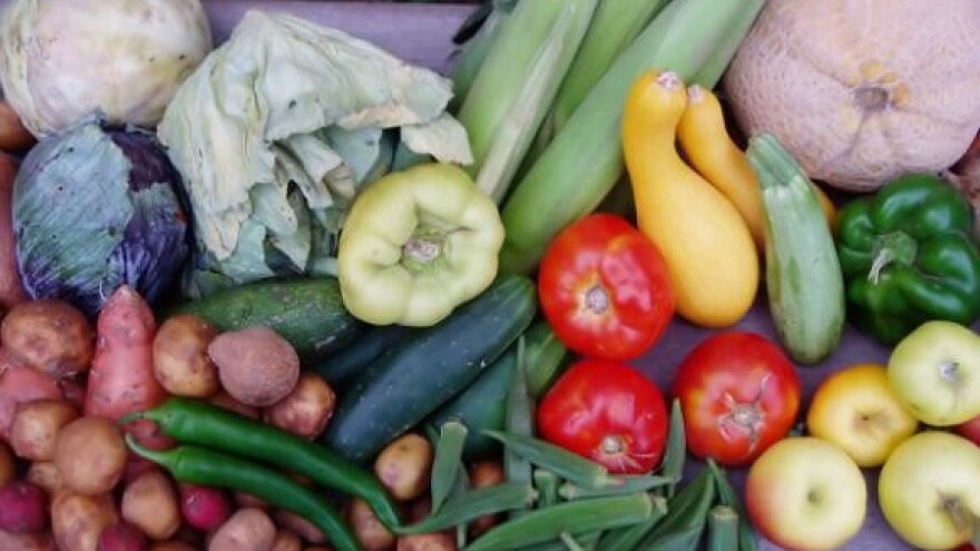 Ekološkom hranom do turista