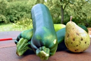 Povratak prirodi zapravo je bijeg od zbilje