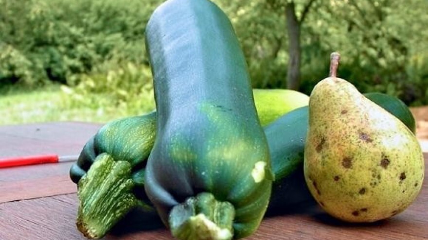 Povratak prirodi zapravo je bijeg od zbilje