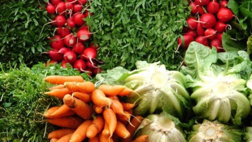 Kamo sa hrvatskim povrćem