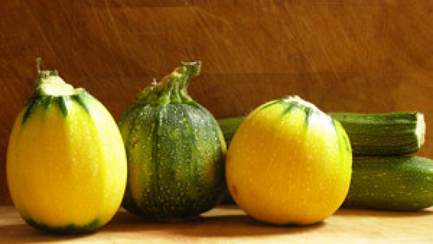 Specijalizirana škola za obuku poljoprivednika