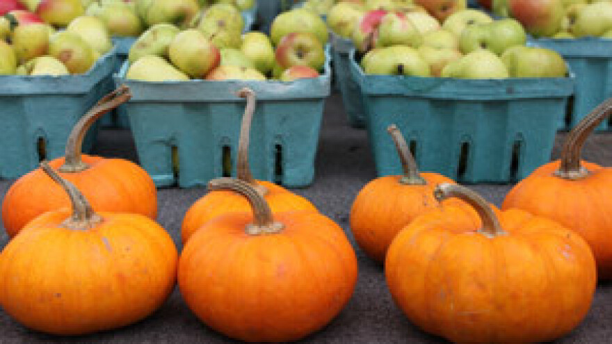 Povećanje površina s ekološkom proizvodnjom