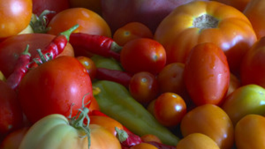 Ulaganje u izgradnju logističko-distributivnog centra za voće i povrće