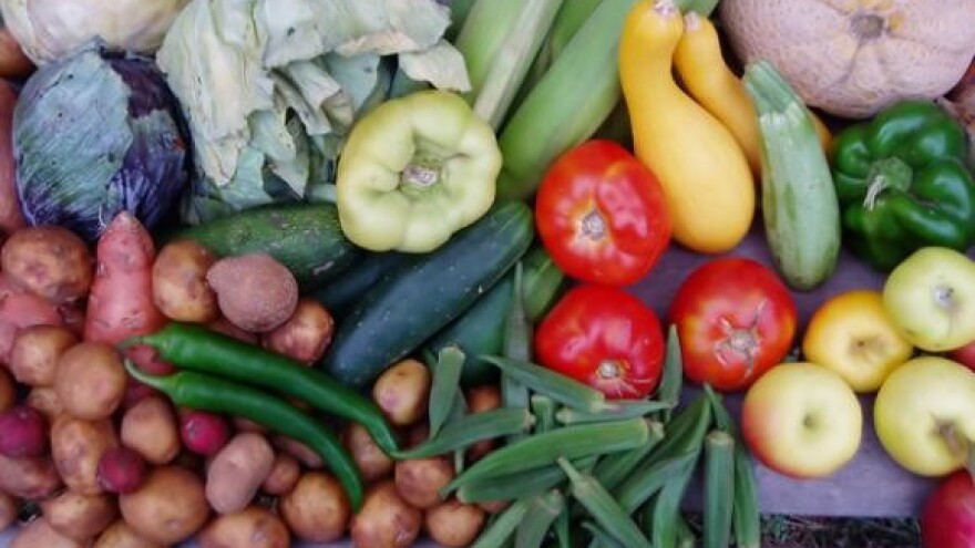 Urod povrća u Istri bit će katastrofalan