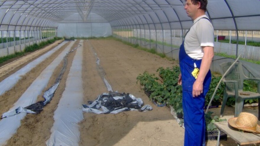 Put do malih domaćinstava kontinenta