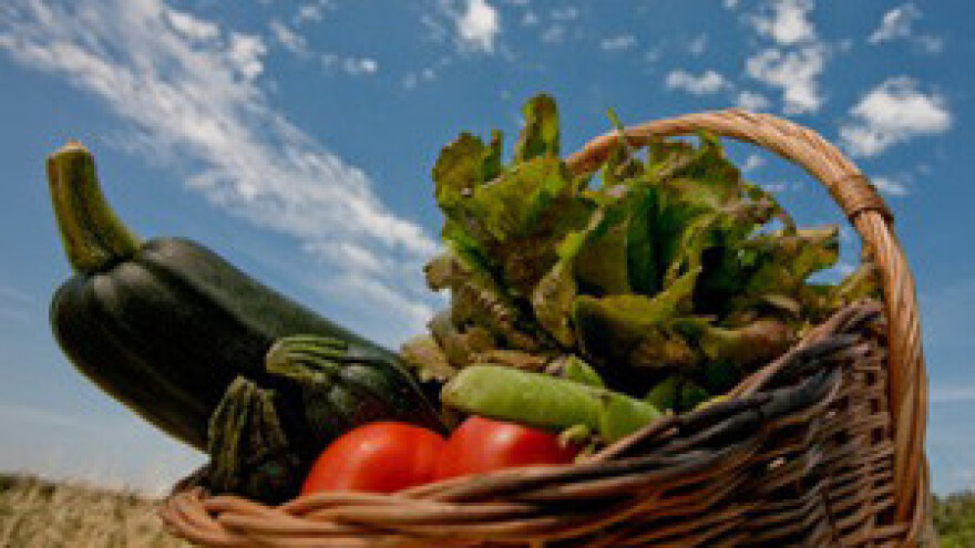 Šišljagić: Poljoprivrednicima nanesena golema šteta