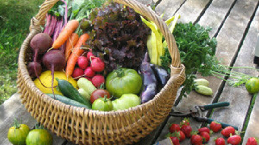 Apel povrtlara ministru Jakovini