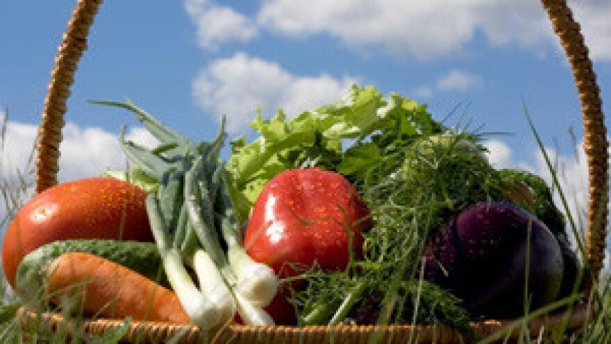 Možemo proizvesti hrane za osam do deset milijuna stanovnika