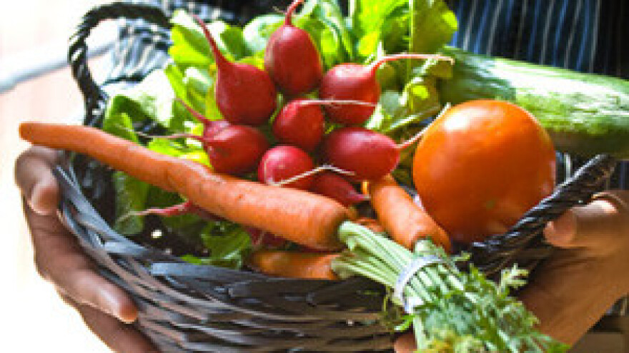 Na sajmu "Zeleni tjedan" raspravljalo se o rješavanju problema gladi