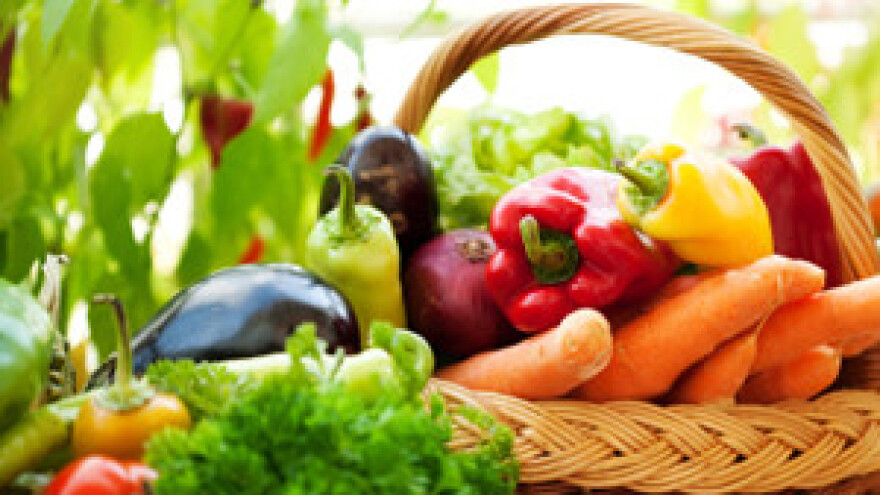 Štete od suša i oborina poljoprivrednicima su nenadoknadive