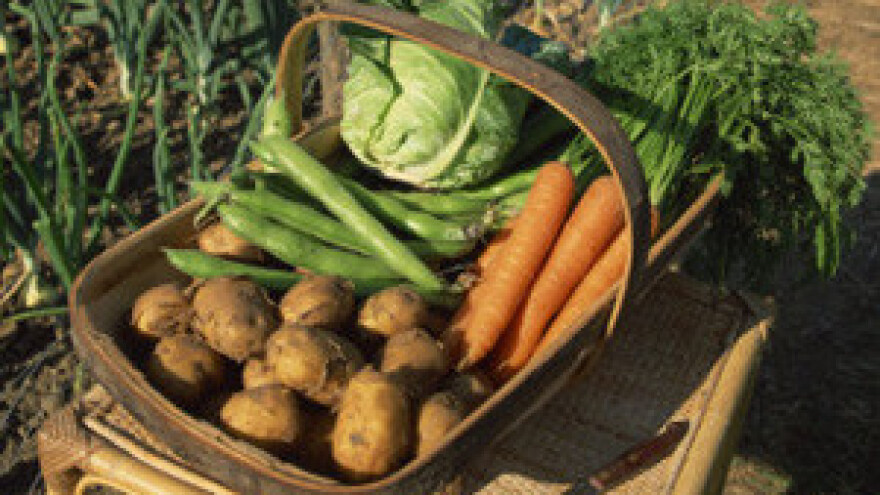 Mještani Šolte: svi ulazimo u zadrugu i uzgajamo organsku hranu