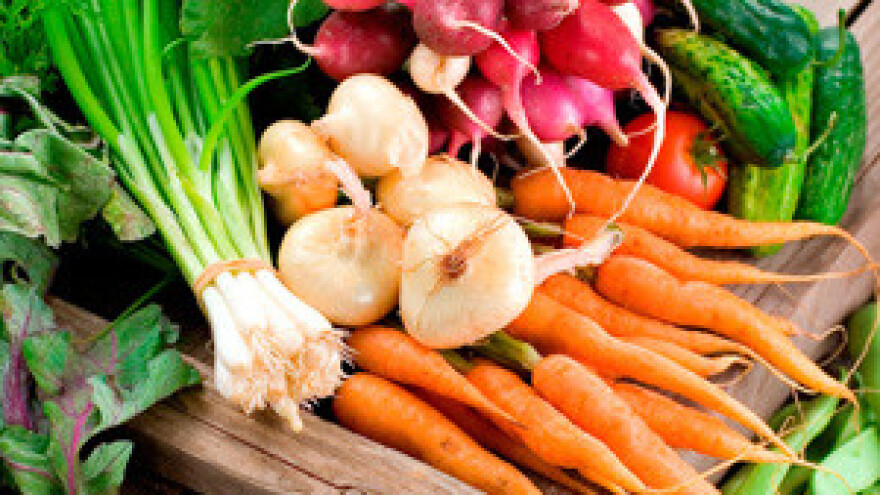 Suvremeni pristup gnojidbi i nova gnojiva za povrće (2.dio)