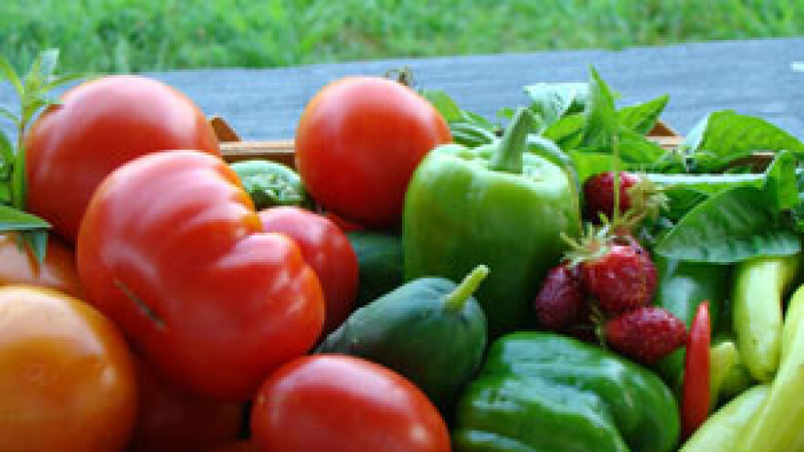 Povrtlari predstavili svoje probleme Jakovini