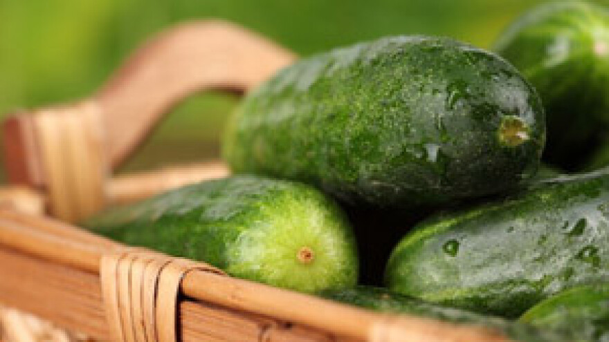 Seminar Norme niza 22000 i poveznica s GlobalGAP normama