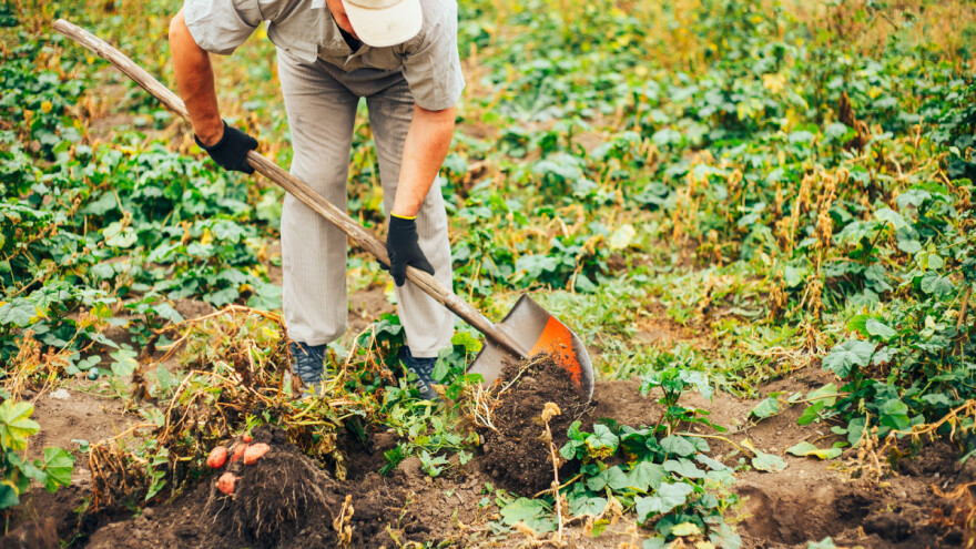 Branko Mastalo: Dajem ostavku, ne mogu lagati ljudima