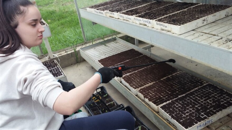 Šta u vreme korone za (buduće) poljoprivrednike ipak ne može onlajn?