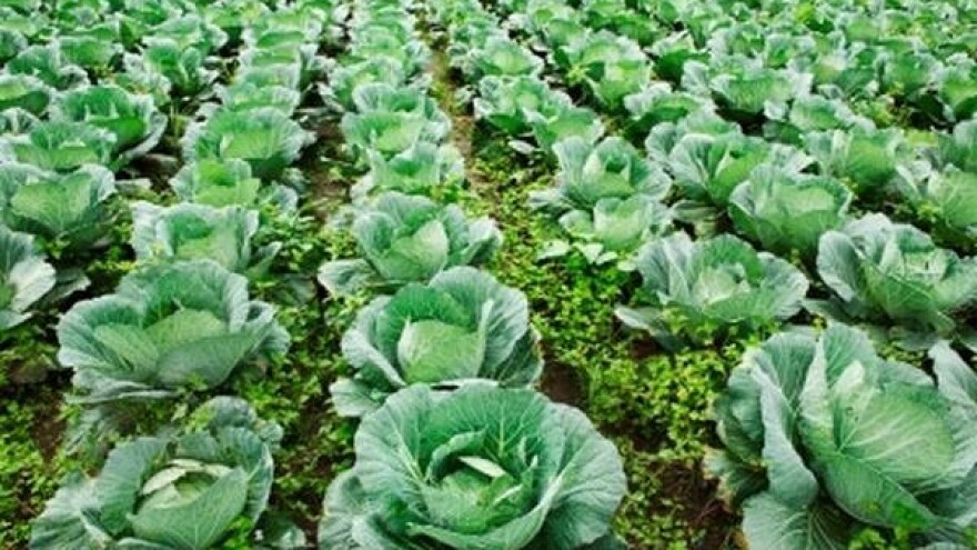 Kreiranje novog agrarnog budžeta