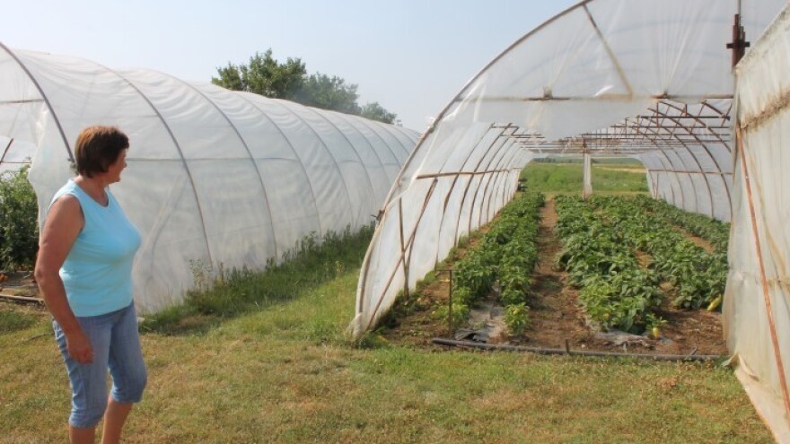 Nekada su se od jutra lubenice kupovali i auti!