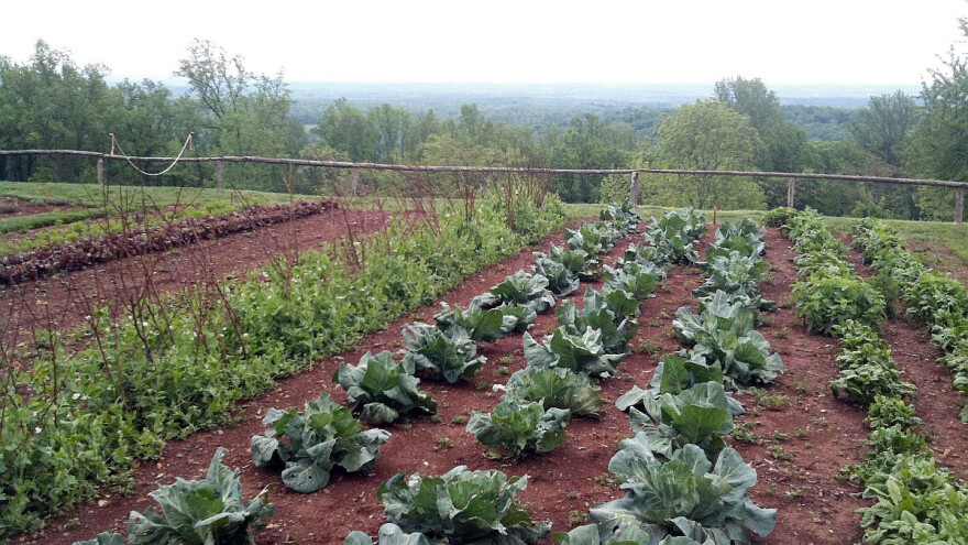 Pravilnim zalivanjem do većeg i kvalitetnijeg roda povrća