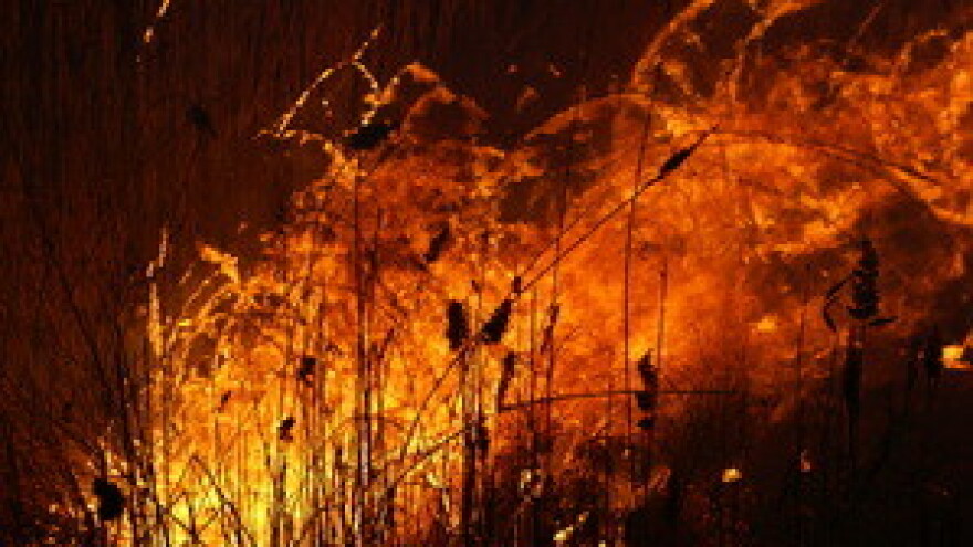 Vatrogasci savjetuju: "Ne spaljujte biljni otpad!"