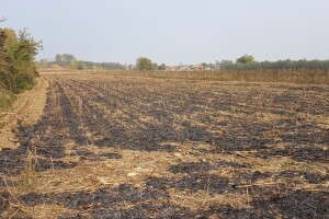 Zaigrali se paljenjem strništa pa alarmirali NASA-u: Srbija imala najviše požara u Europi