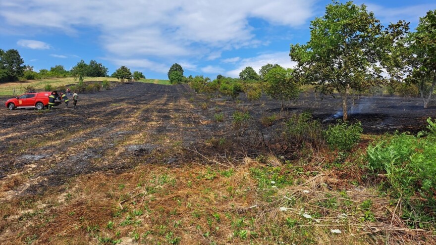 Vatra progutala stotinu stabala oraha i više desetaka lješnjaka, stradao i vinograd