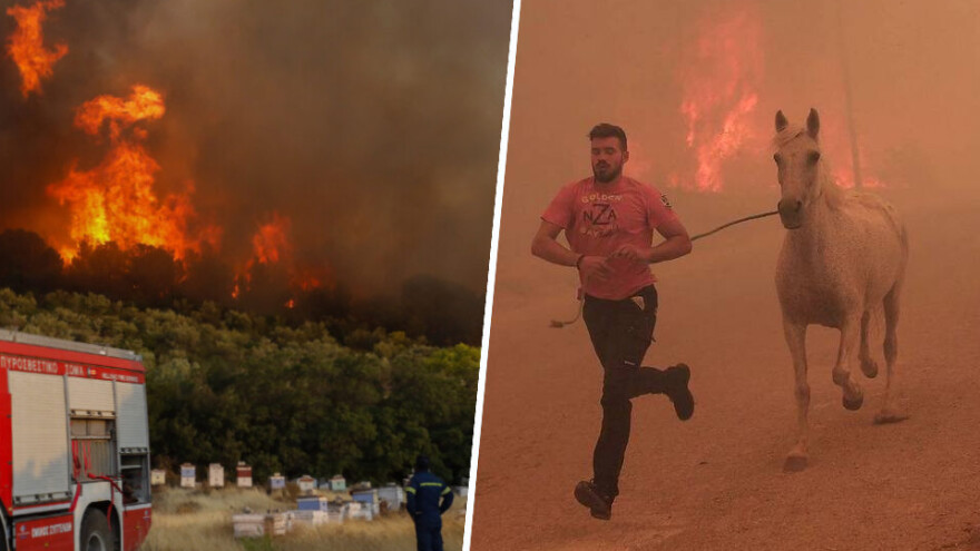 Pčelar se emotivno oprostio od pčela, pastir poginuo spašavajući stoku
