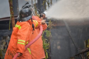 U zadnji tren spasili stoku od požara