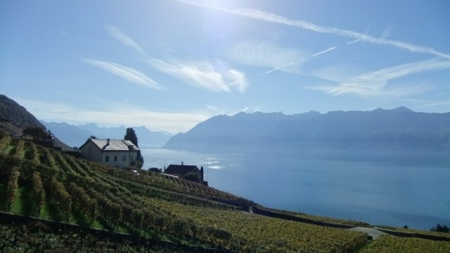 EU pomoć opožarenim područjima