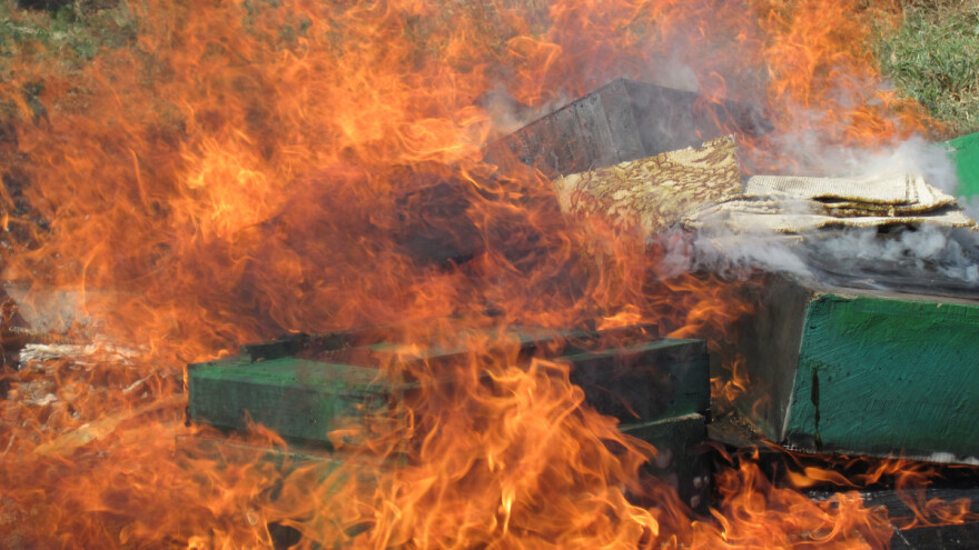 Vrijedan narod ne pali košnice - za nemar nema opravdanja!