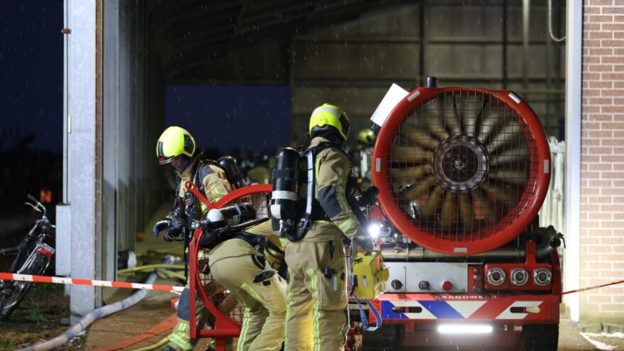 Veliki požar na farmi u Nizozemskoj: Iz staje uspješno evakuirano svih 240 krava