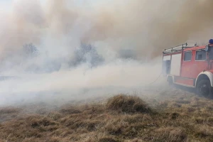 Unatoč upozorenjima, zbog paljenja biljnog otpada sve više požara diljem Hrvatske