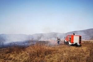 Gorjela borova šuma, bale sijena i kombajn, spaljivanje biljnog otpada glavni krivac