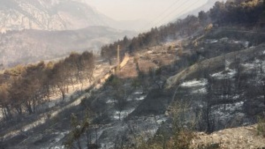 Izgorjela vinarija, stoka, vinogradi i maslinici