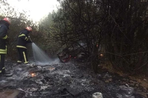 Zapaljeni strnjak zaprijetio prometnici, šumi i oranicama, opožarena površina od 15 hektara