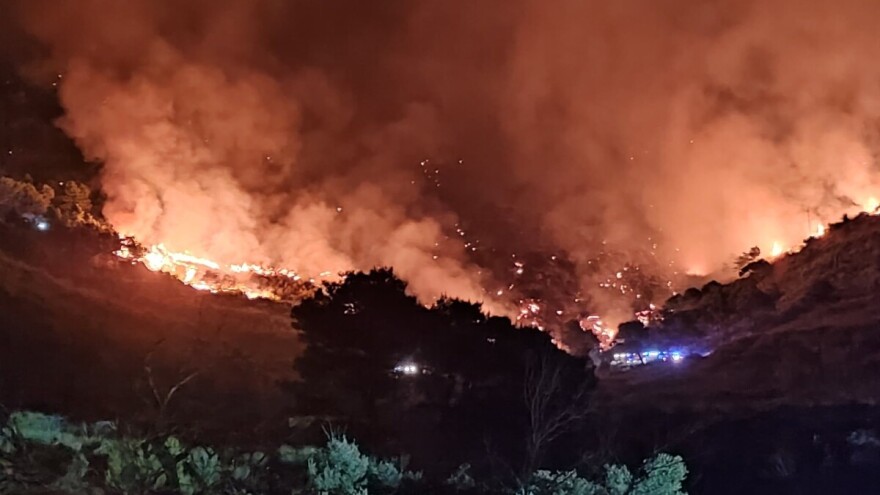 Vatra guta i 100 godina staru šumu dalmatinskog crnog bora, autohtonog crnogoričnog drveta