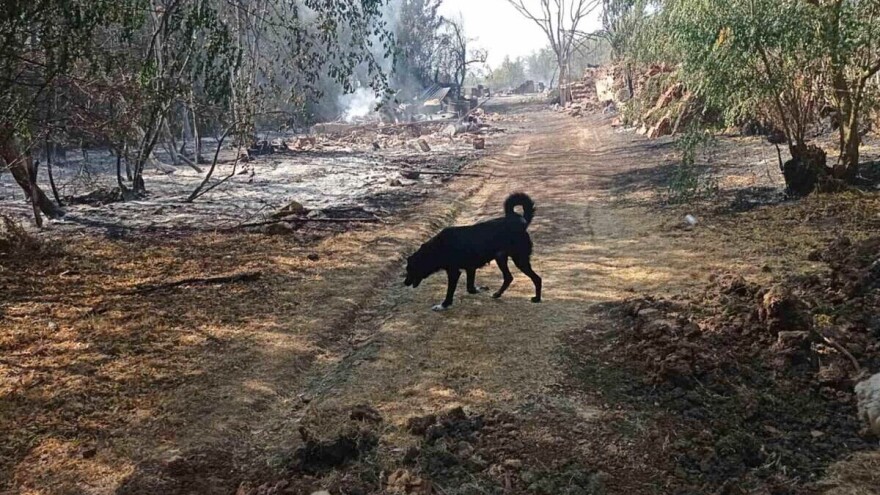 Potresni prizori iz Topličkog okruga: "Kada ulazite u selo, kao da ulazite u pakao"